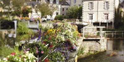 1,6 miljonerklubben reser till Bretagne och det prunkande växtriket i byn La Gacilly