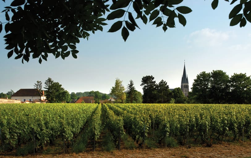 Laurent-Perrier La Cuvée Brut